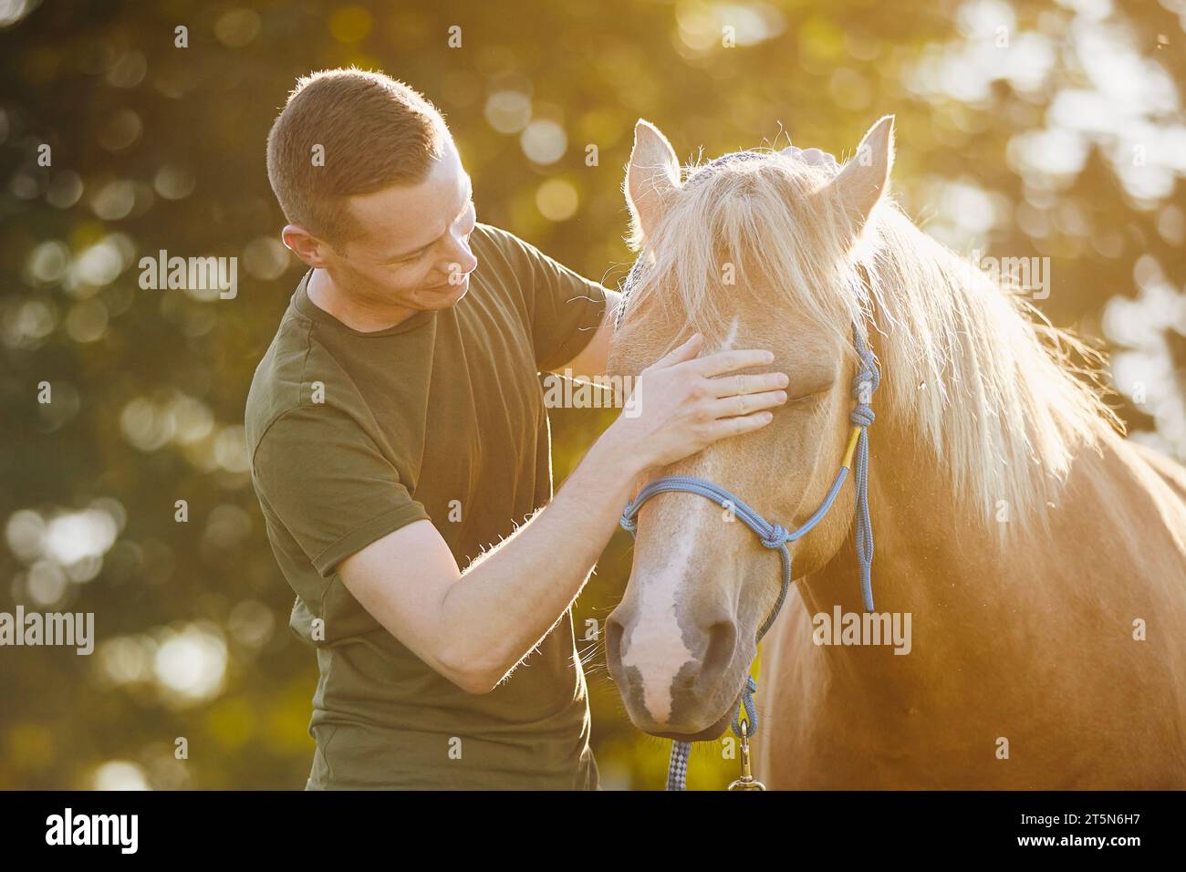 Man is embracing of therapy horse. Themes hippotherapy, care and friendship between people and animals. Stock Photo