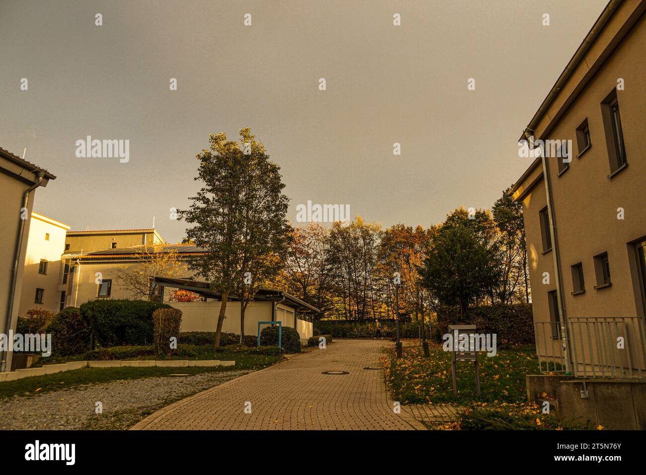 Embracing the Ephemeral Beauty: A Captivating Journey Through German