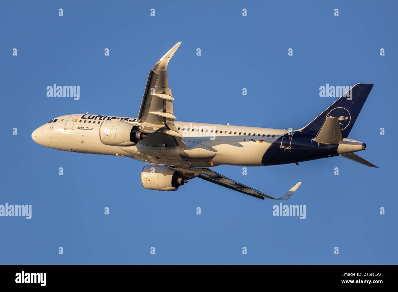 Lufthansa Airbus A320-271N Neo, registration D-AINN taking off from London Heathrow airport on a beautiful, sunny autumn evening at golden hour Stock Photo