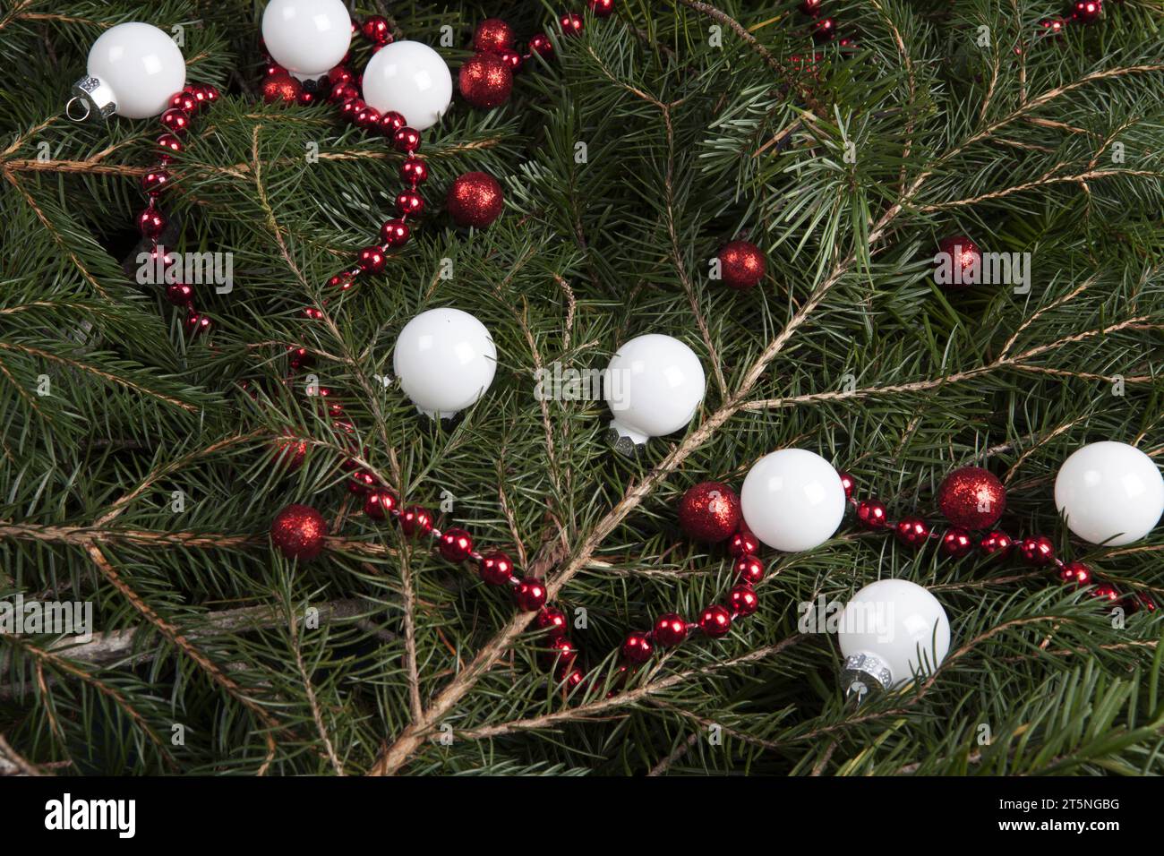 Christmas tree with pearl garland hi-res stock photography and