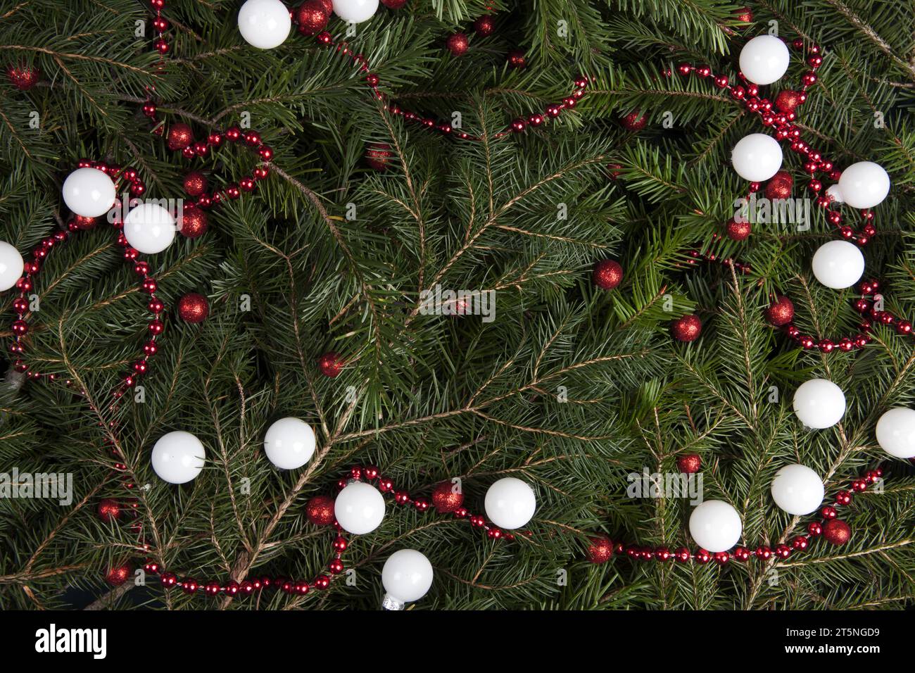 Christmas tree with pearl garland hi-res stock photography and images -  Alamy