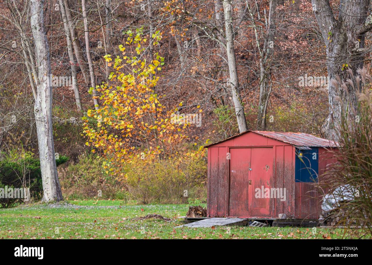 An old metal shed in a field next to a tree line in Althom, Pennsylvania, USA on a sunny fall day Stock Photo