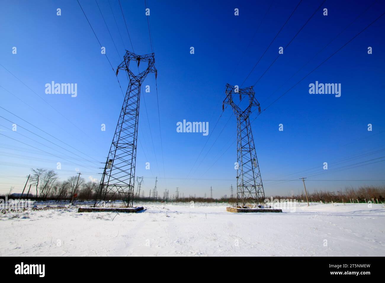 Electricity pylon winter trees hi-res stock photography and images - Alamy