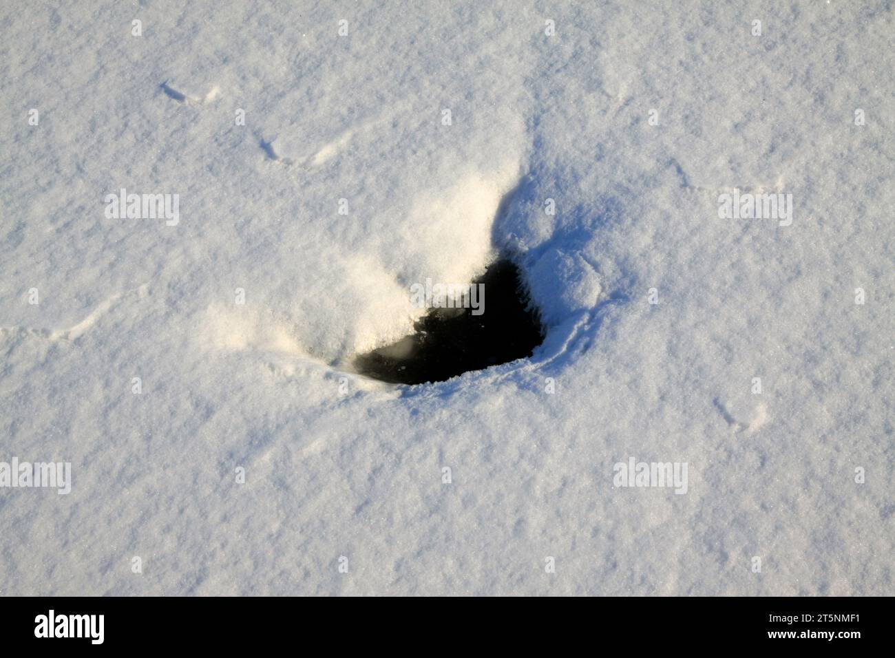 ice hole in the snow, closeup of photo Stock Photo