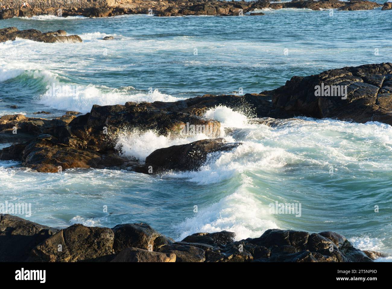 Sea waves lapping gently on the dark rocks of the beach. Preserved and alive nature. Stock Photo