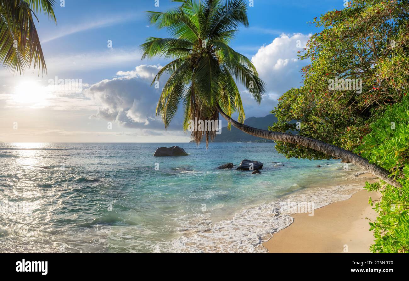 Sunset at exotic tropical beach and coconut palms on Seychelles. Summer vacation and tropical beach concept. Stock Photo