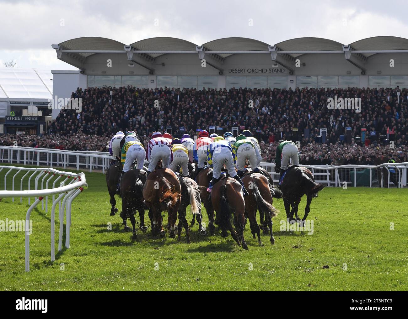 Cheltenham Fest. Champ. Hurdle Day 14.03.23 Stock Photo