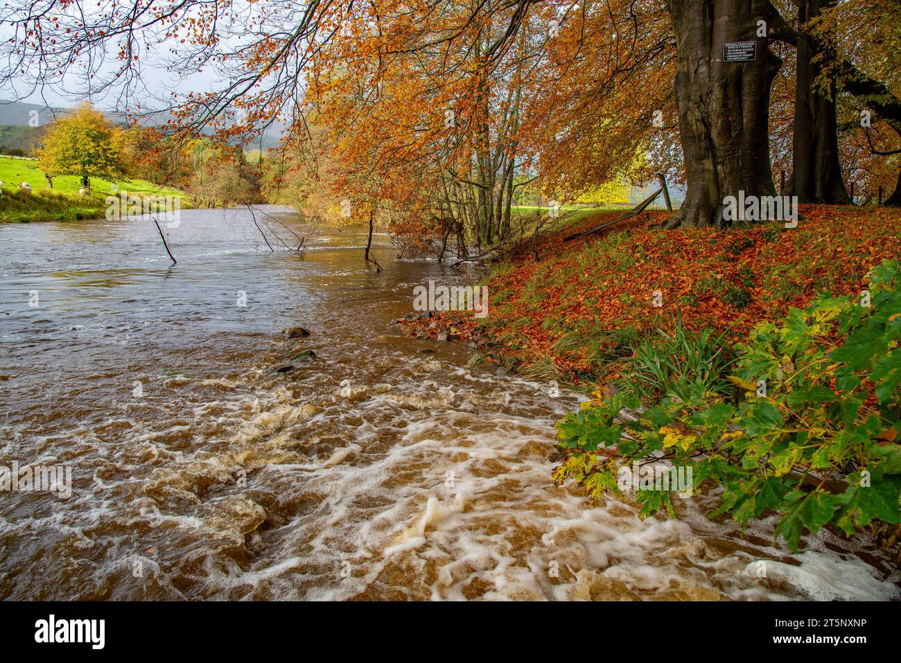 Whitewell and river hodder hi-res stock photography and images - Alamy
