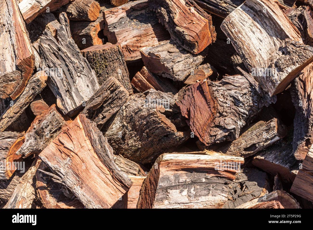 Wood chips with bark outdoors Stock Photo