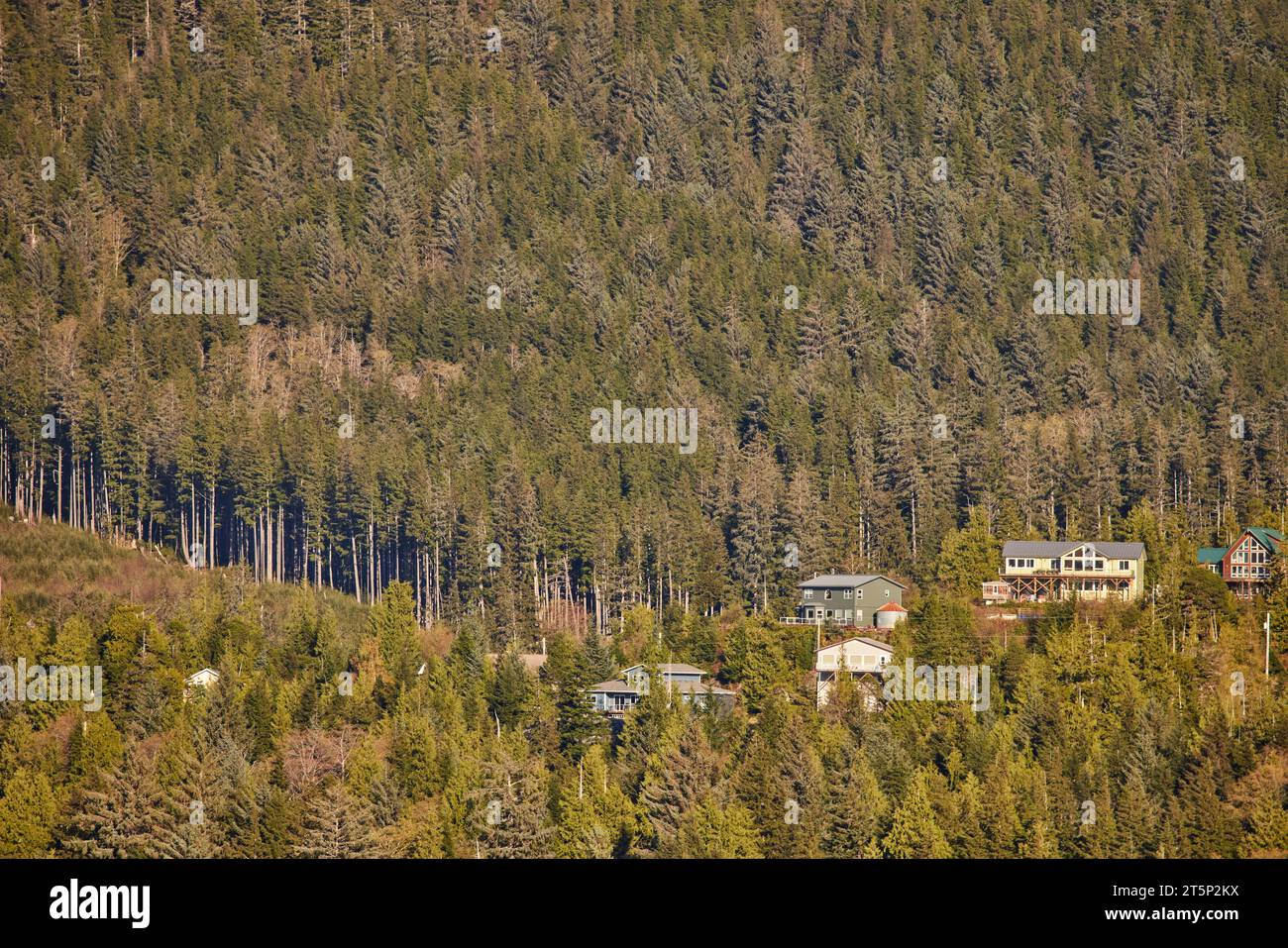 Ketchikan Gateway Borough, Alaska, United States houses on steep hillside Stock Photo Alamy
