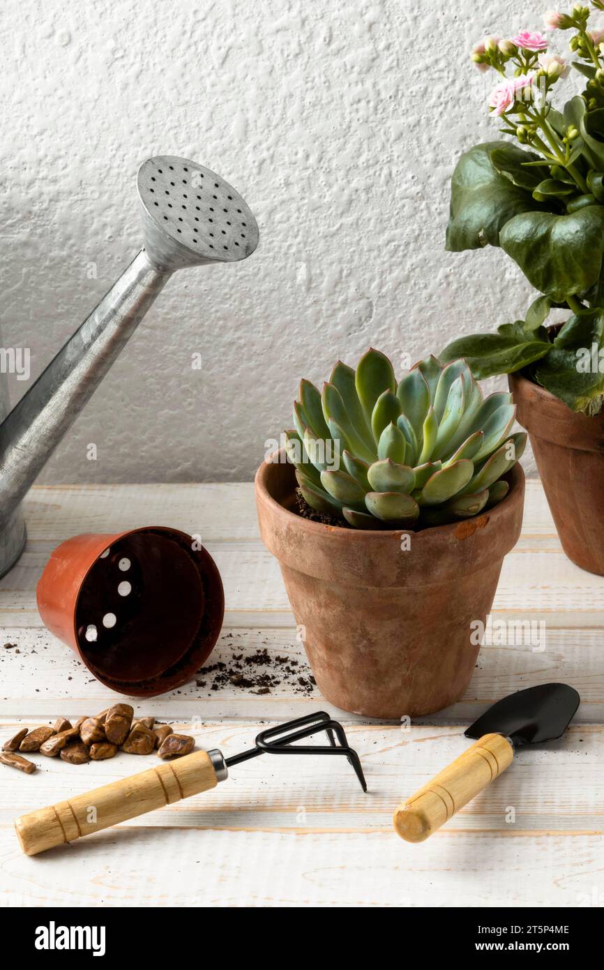 High angle flower pots tools Stock Photo