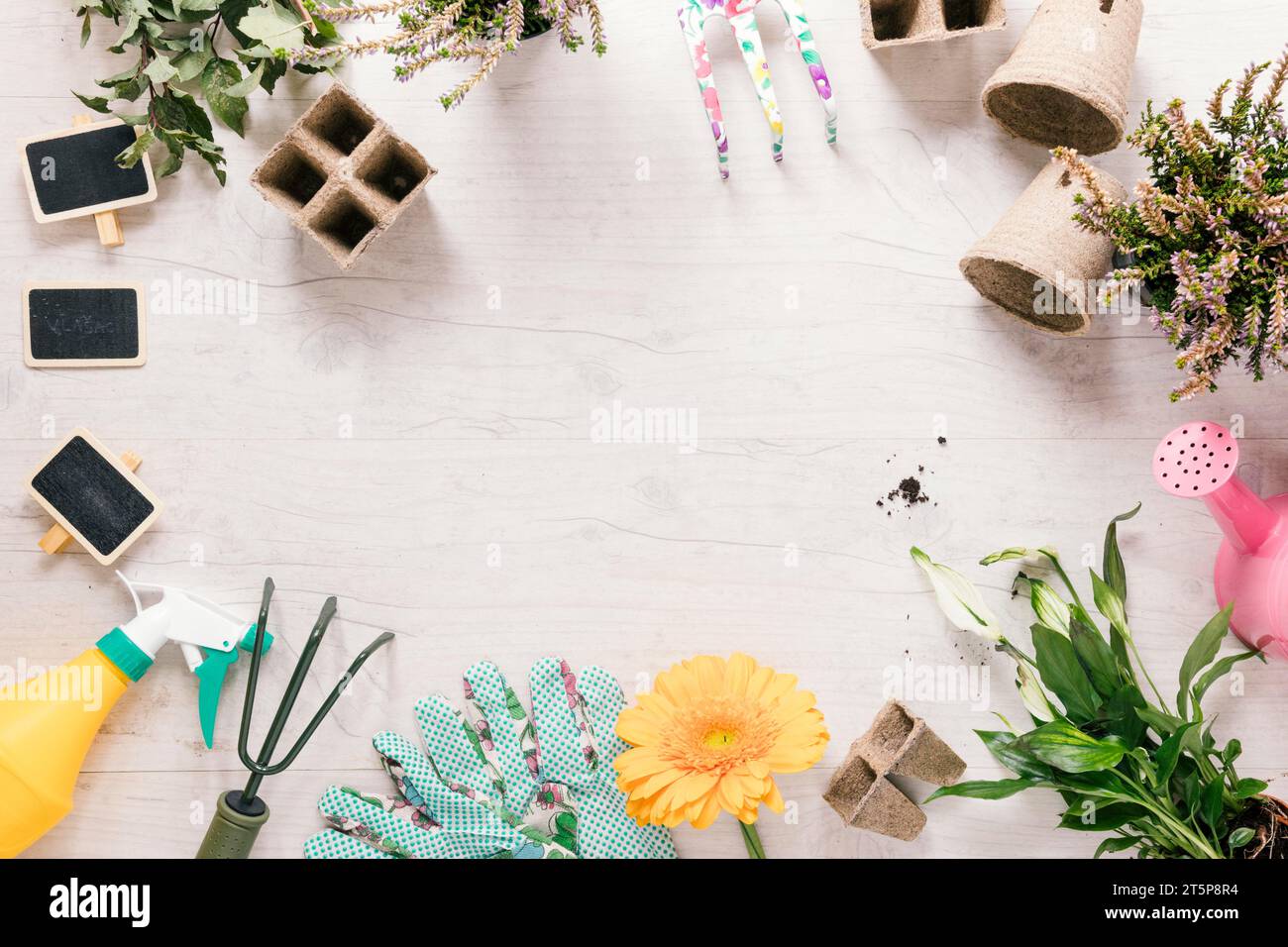 High angle view plant gardening glove flower rake sprayer watering can peat tray stake wooden desk Stock Photo
