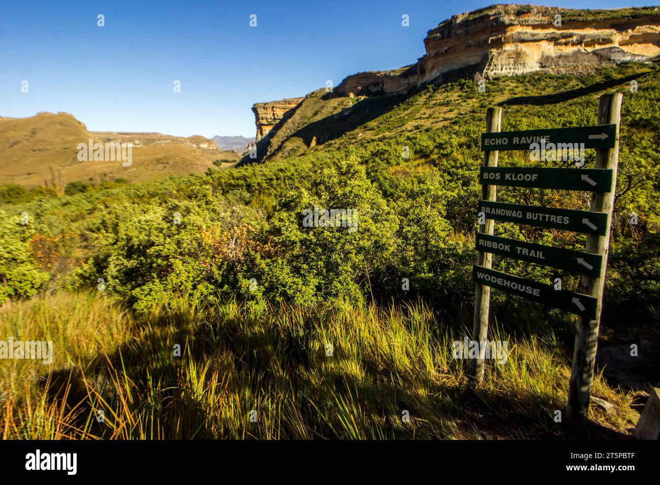 Signage of the different routes of the Golden Gate Highlands National Park of South Africa with its impressive scenery in the background. Stock Photo