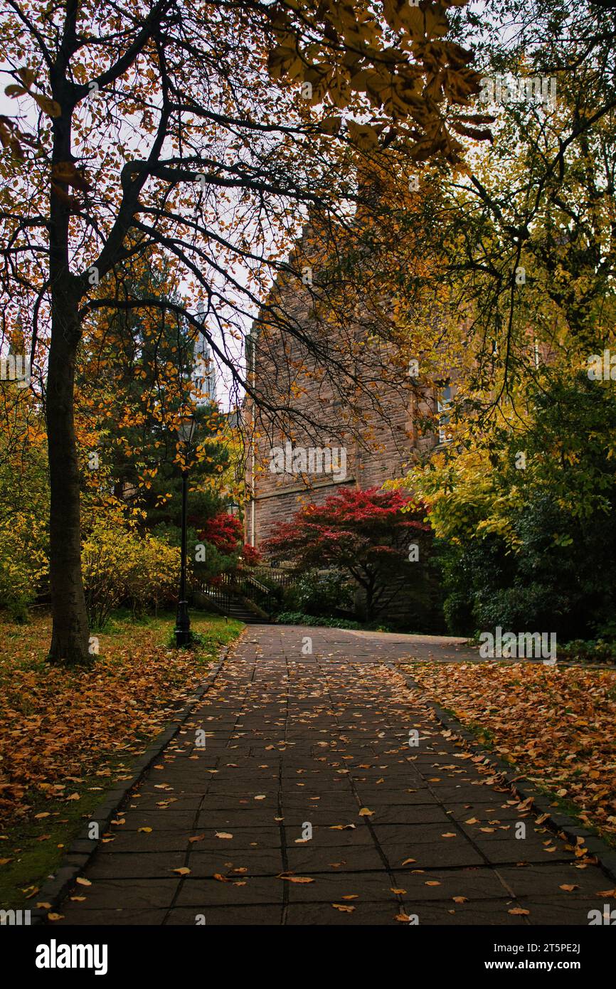 University of Glasgow in Autumn. A beautiful selection of different coloured trees can be seen on either side of the path. Photo taken in October 2023 Stock Photo