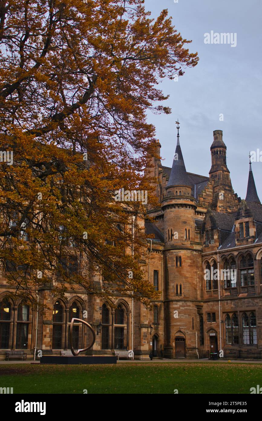 Glasgow University in Autumn. A beautiful orange leaved tree standing in the middle of the grounds. Old gothic design to the University. Stock Photo