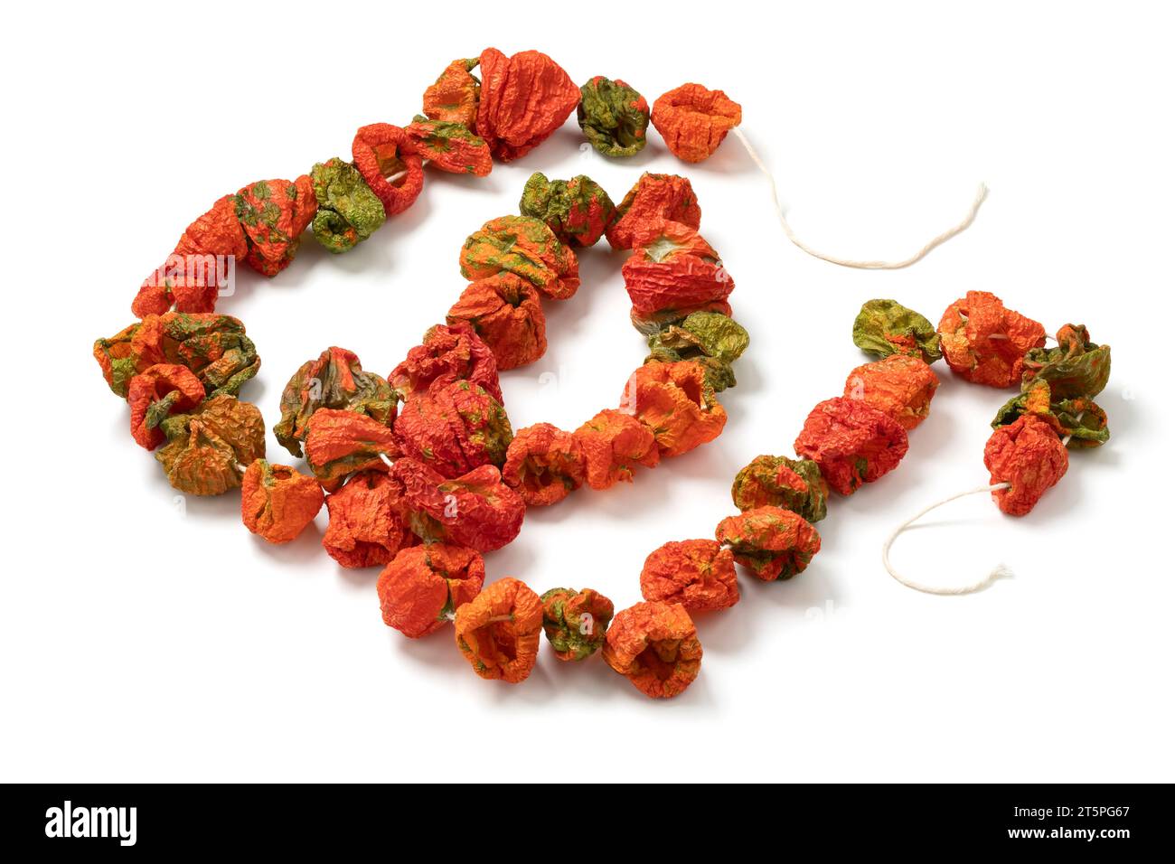 Chain of dried peppers, Biber Kurusu,  isolated on white background close up Stock Photo