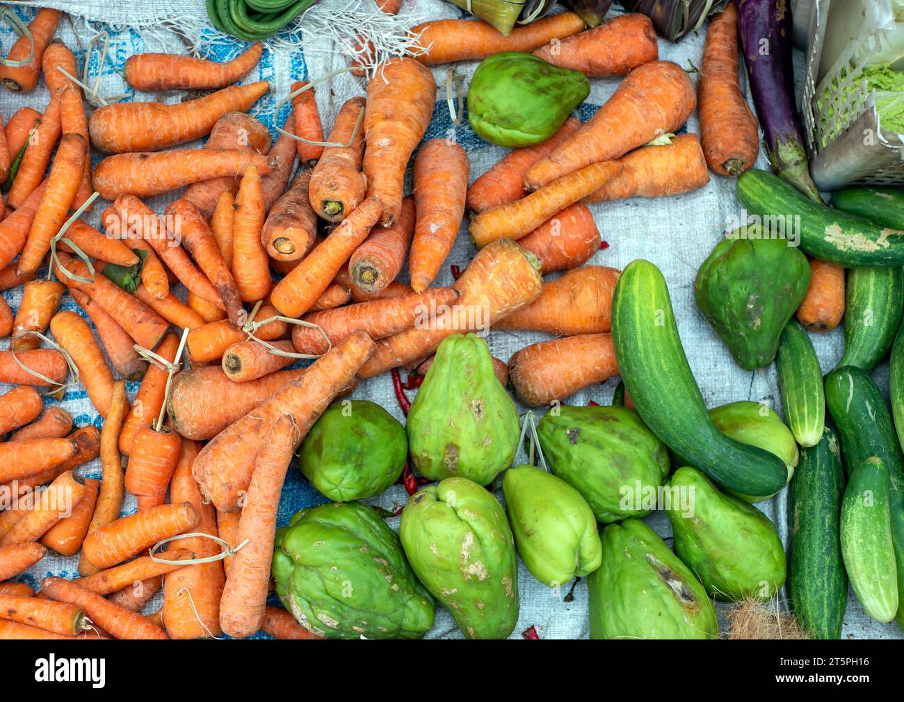 Scarlet eggplants (Jilos) – License Images – 296445 ❘ StockFood