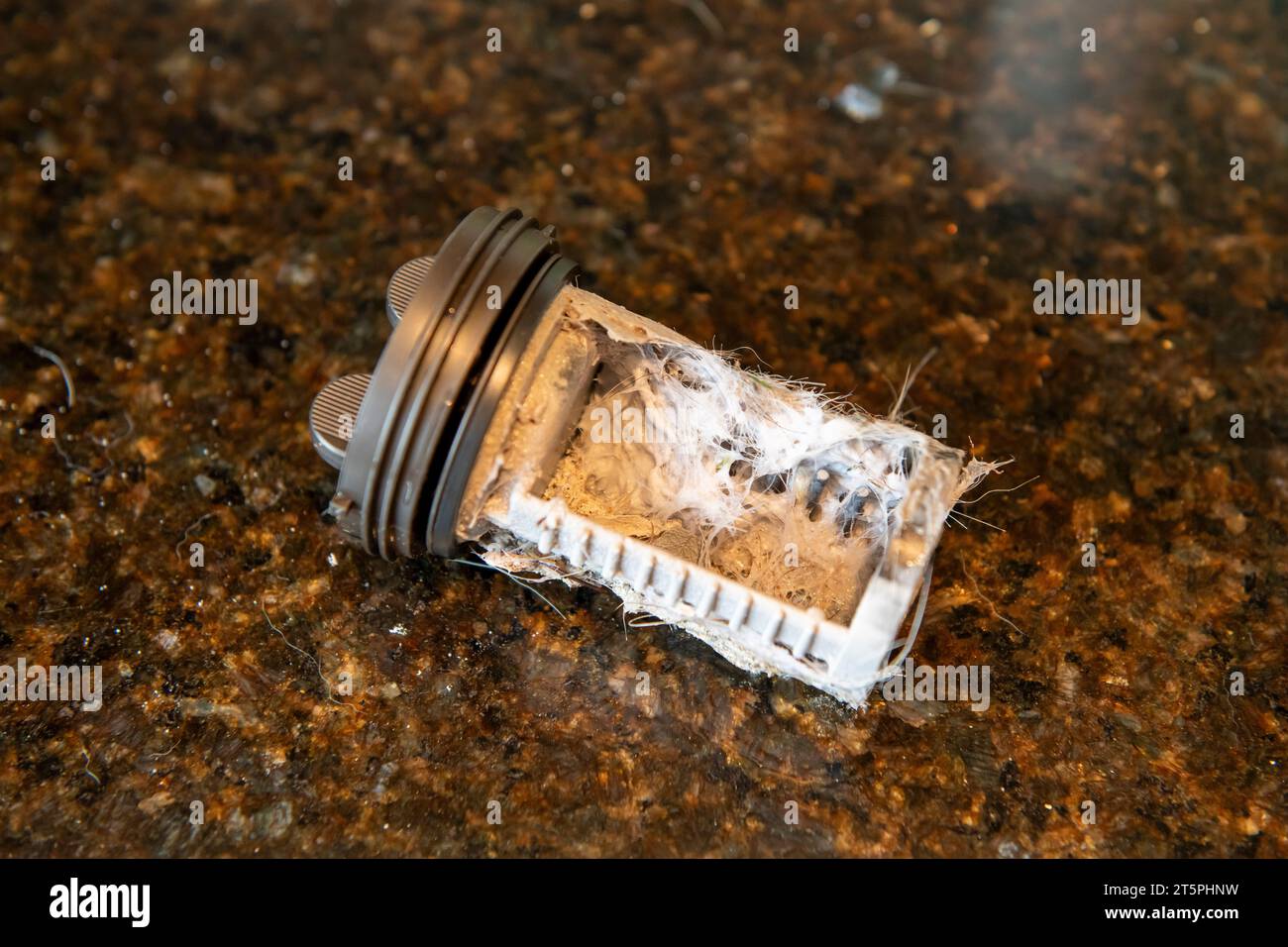 https://c8.alamy.com/comp/2T5PHNW/a-blocked-dirty-filter-from-the-washing-machine-gets-removed-and-cleaned-to-solve-the-blockage-ue-2T5PHNW.jpg