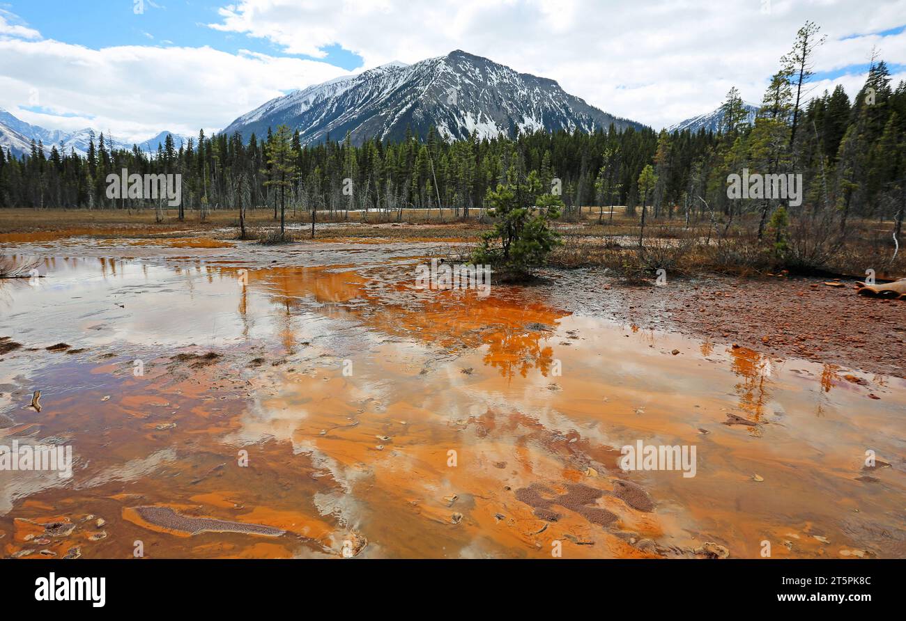 Ochre mud, Kooteanay NP, Canada Stock Photo