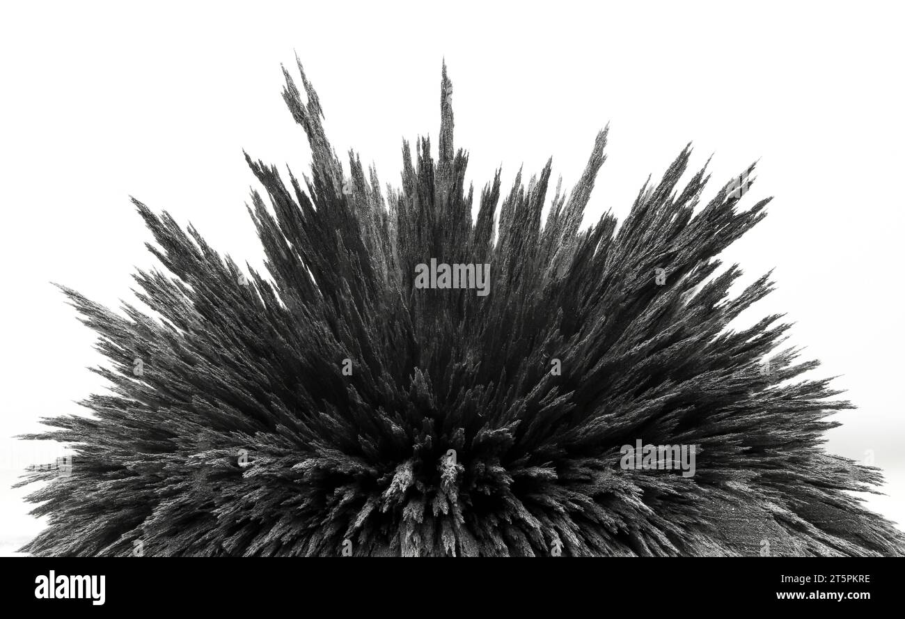 Reaction of iron dust to a strong Isolated. Visualisation of