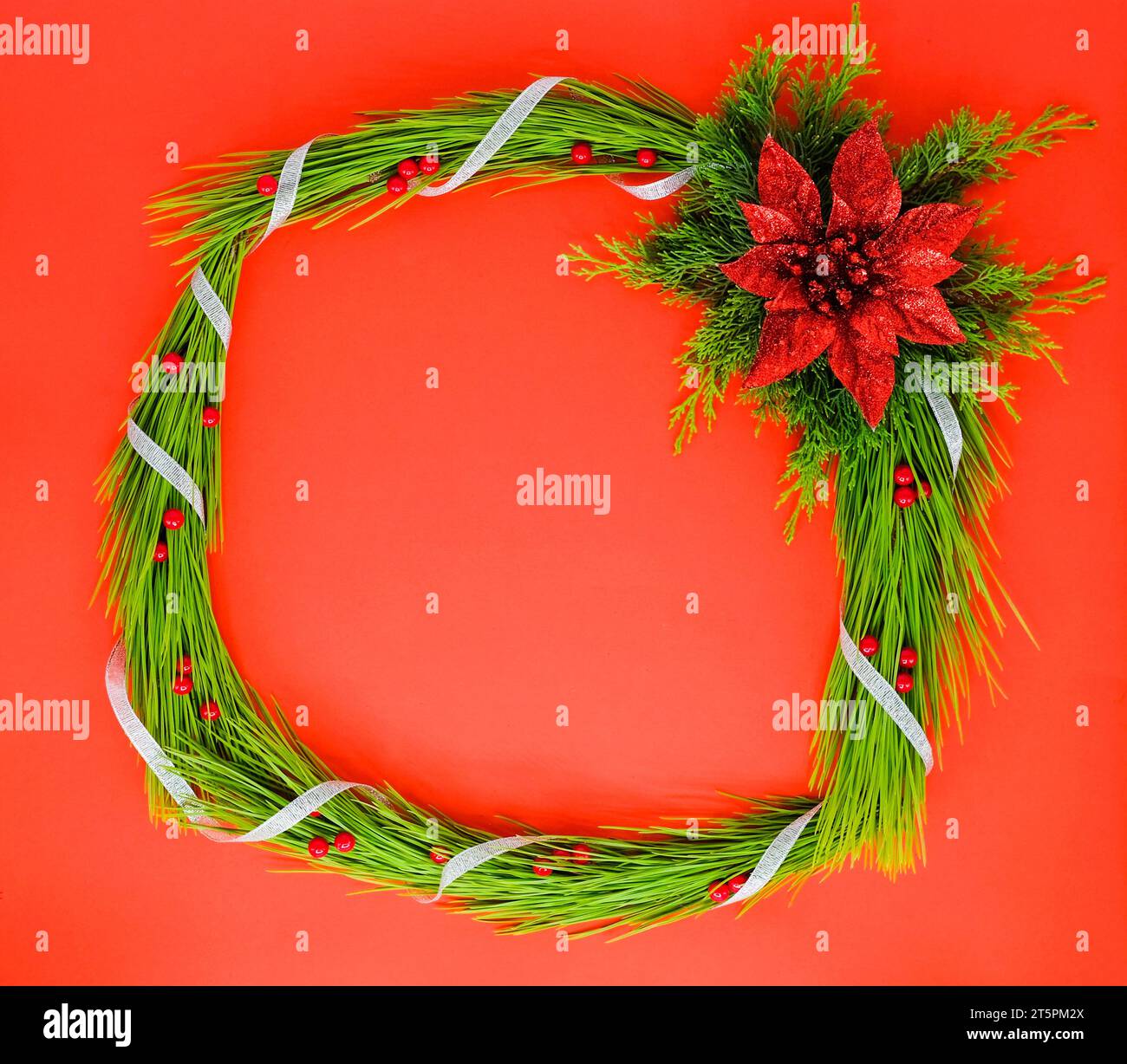 Christmas frame with a red flower and pine trees on the red background ...