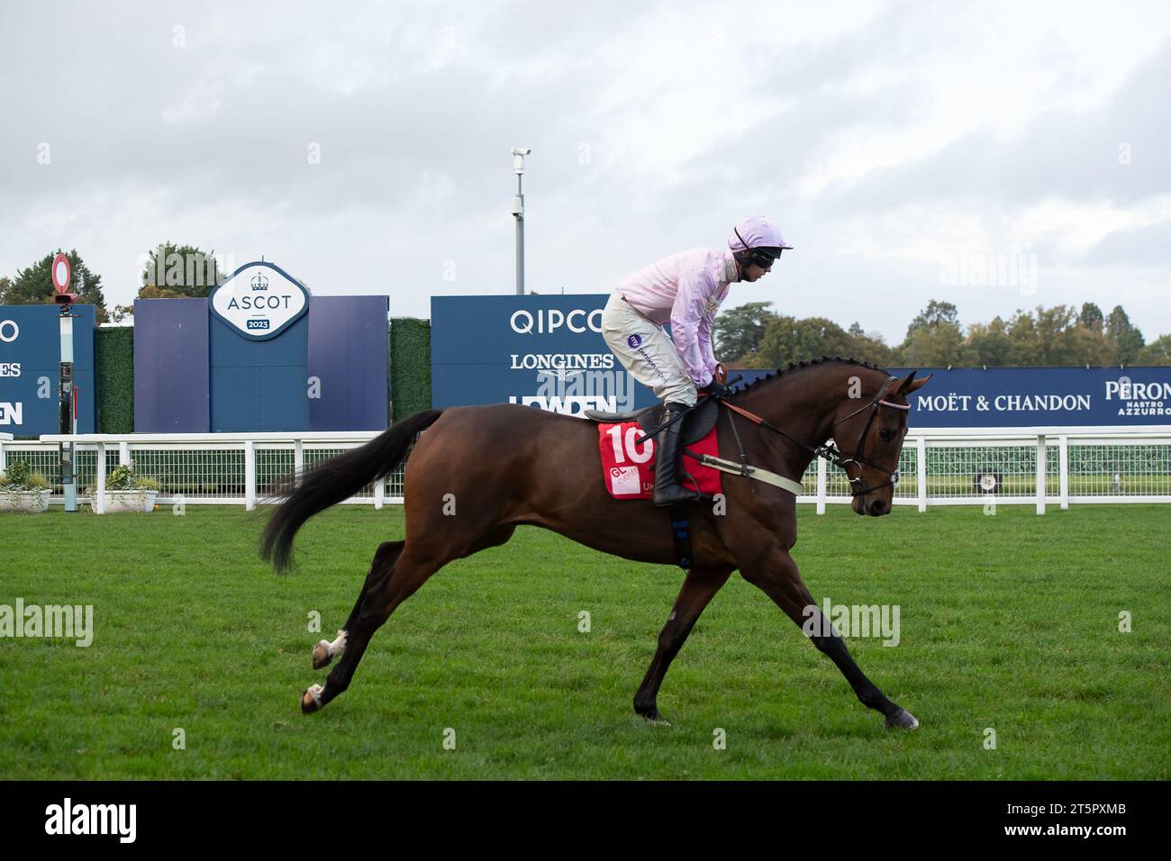Ascot, Berkshire, UK. 4th November, 2023. Jockey Kielan Woods heads down the racetrack on horse TellHerThe Name in the GL Events Novices' Hurdle Race (Class 3) (GBB Race) at Ascot Racecourse at the Fireworks Spectacular Family Raceday. Owner The Megsons. Trainer Ben Pauling, Naunton. Breeder Redmond Barry. Sponsor Fitzdares. Credit: Maureen McLean/Alamy Stock Photo