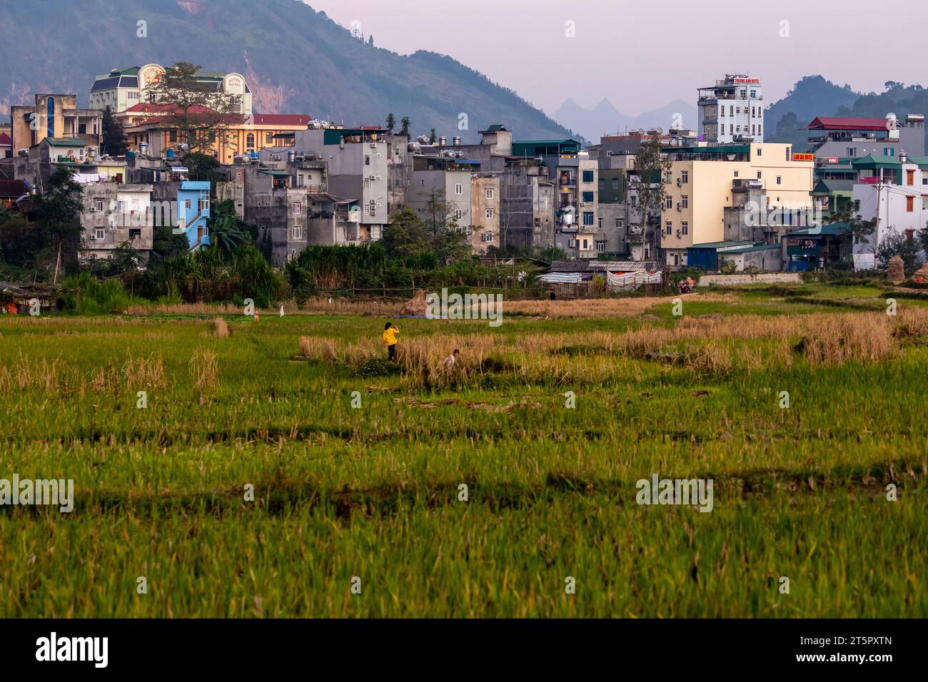 The City of Dong Van in Vietnam Stock Photo Alamy
