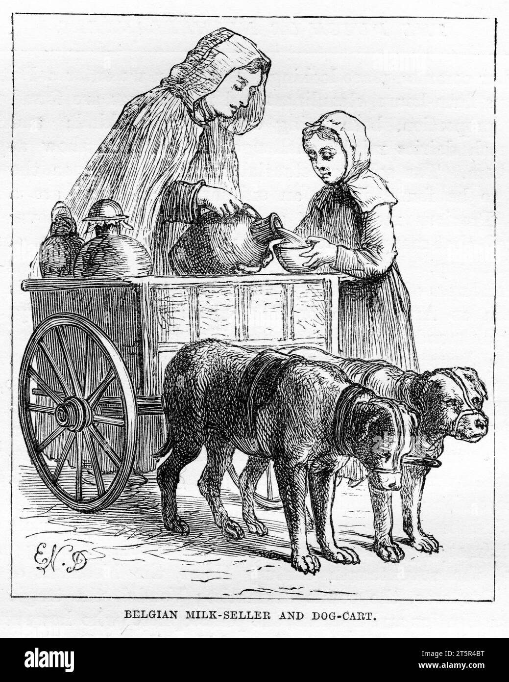 Engraving of a Belgian milk-seller and dog-cart, circa 1880 Stock Photo