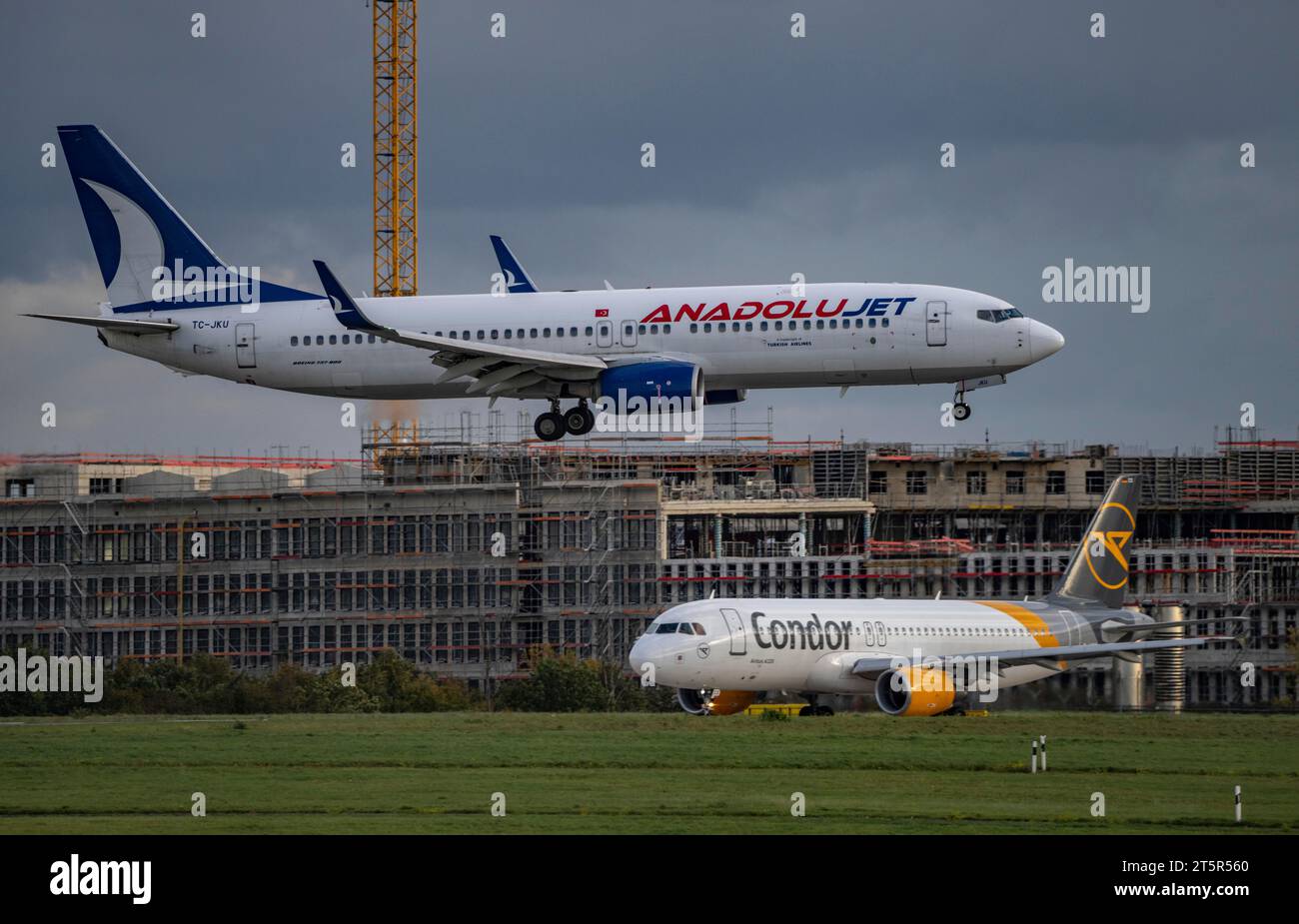 Anadolujet Boeing 737-800, TC-JKU, landing at Düsseldorf International Airport, Condor aircraft waiting for take-off, Stock Photo