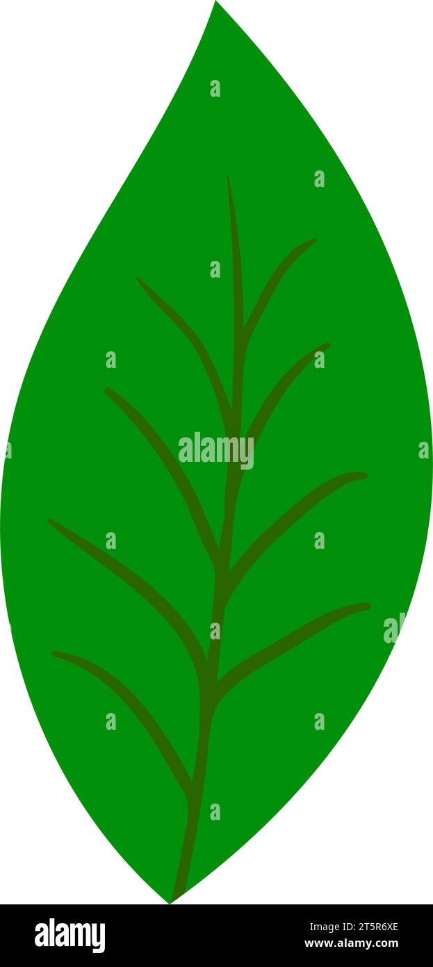 Tree leaf. Suitable for different designs. Vector Illustration. Stock Vector