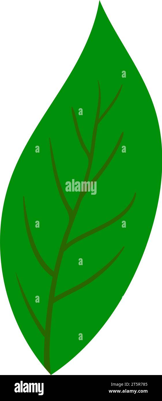 Tree leaf. Suitable for different designs. Vector Illustration. Stock Vector