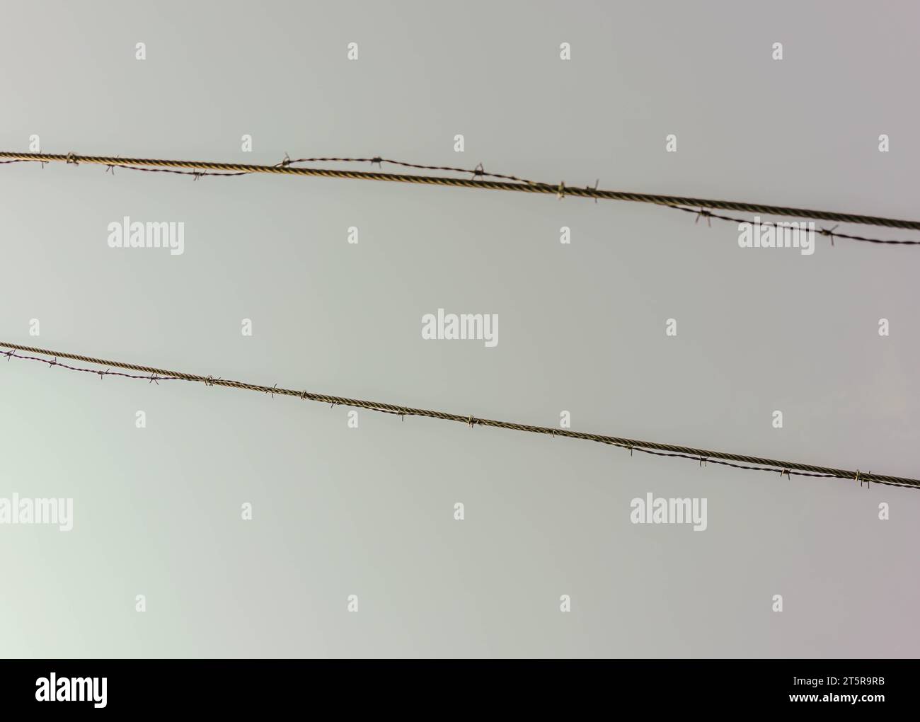 barbed wire Stock Photo