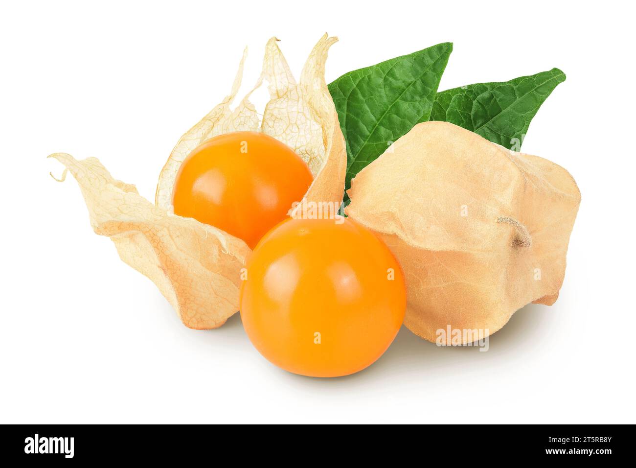 Cape gooseberry or physalis isolated on white background wit full depth ...
