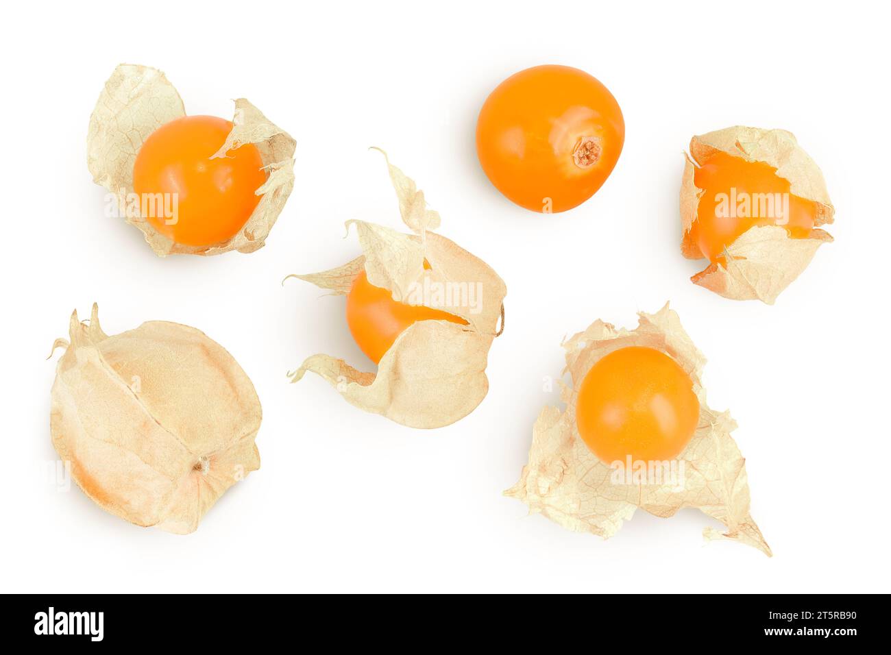 Cape gooseberry or physalis isolated on white background wit full depth ...