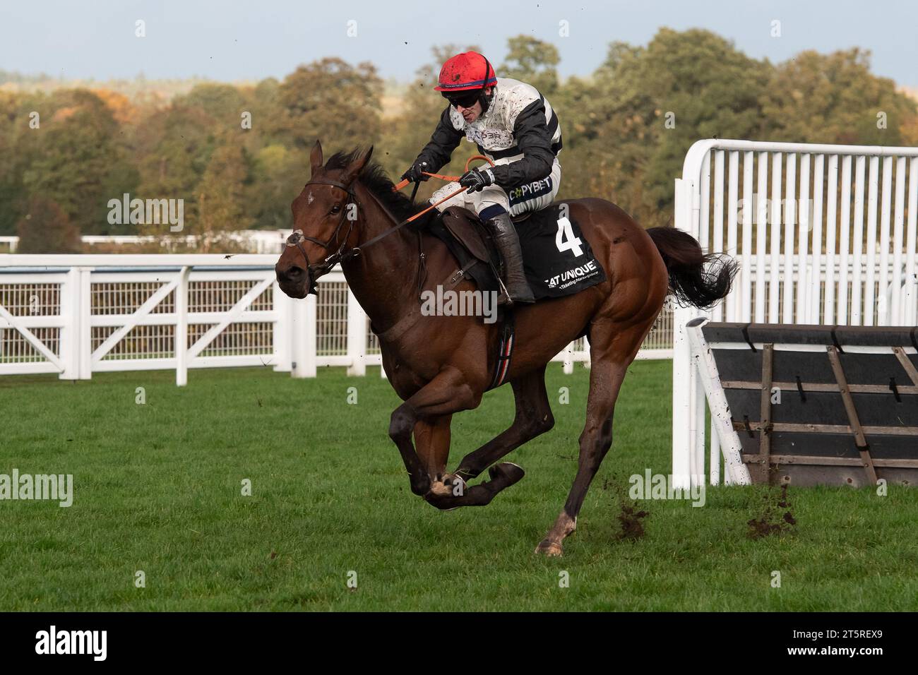 Ascot, Berkshire, UK. 4th November, 2023. Horse Altobelli ridden by jockey Jonathan Burke in the Seat Unique Handicap Hurdle Race at Ascot Racecourse at the Fireworks Spectacular Family Raceday. Owner Charlie Walker and Jonny Craib. Trainer Harry Fry, Corscombe. Breeder Gestut Hof Ittlingen. Sponsor P3P Partners LLP, Grosvenor Sport. Credit: Maureen McLean/Alamy Live News Stock Photo