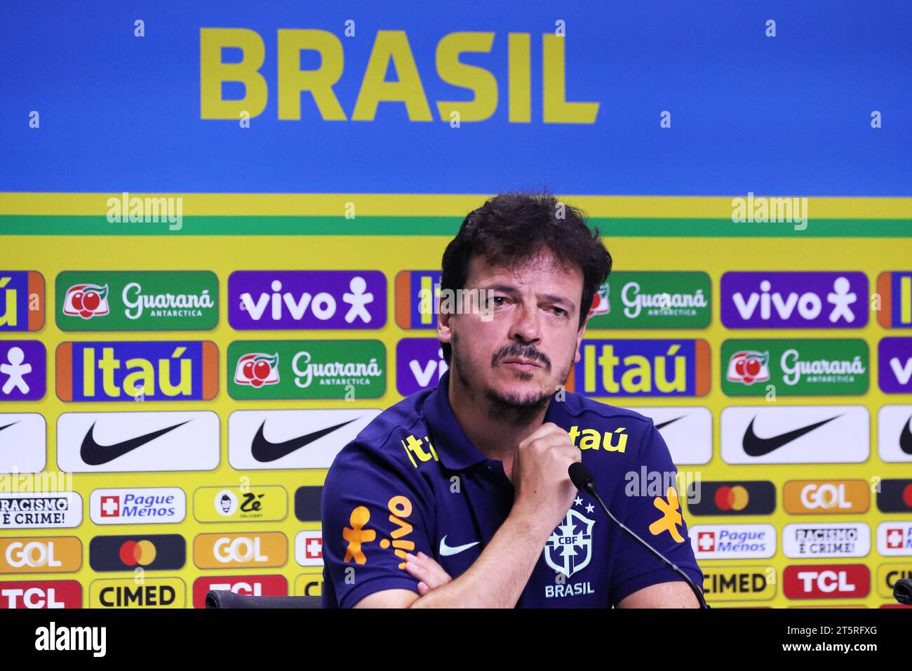 Rio De Janeiro, Brazil. 06th Nov, 2023. Fernando Diniz, Coach of the ...