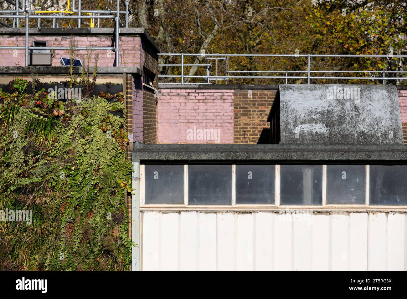 A living wall on the side of Embankment Tube Station, London, UK.  22 Nov 2022 Stock Photo