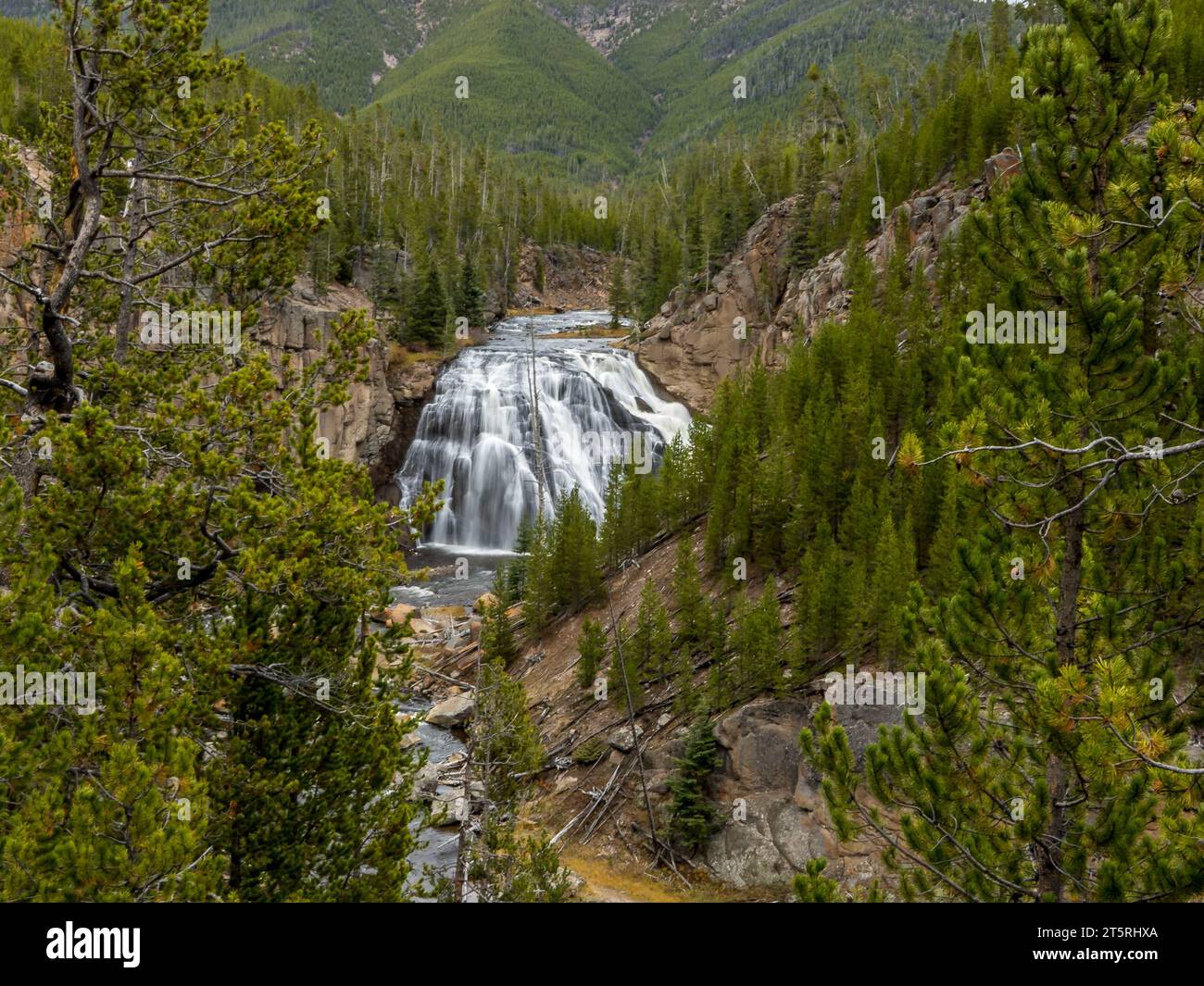Gibbon Falls is located on the west side of Yellowstone National Park and is a beautiful sight to behold Stock Photo