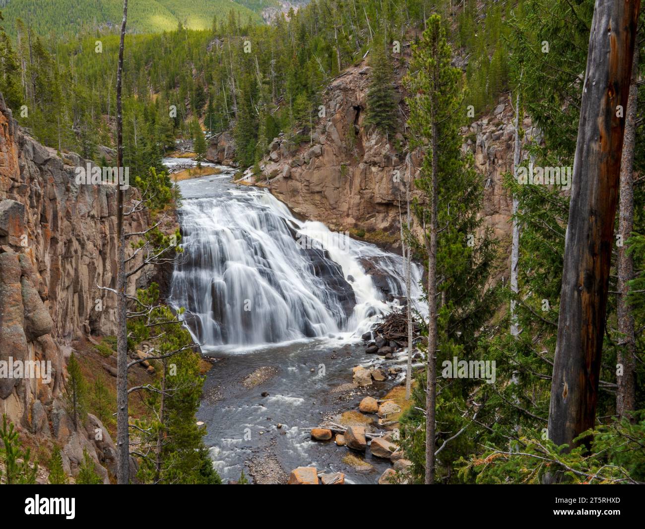 Gibbon Falls is located on the west side of Yellowstone National Park and is a beautiful sight to behold Stock Photo