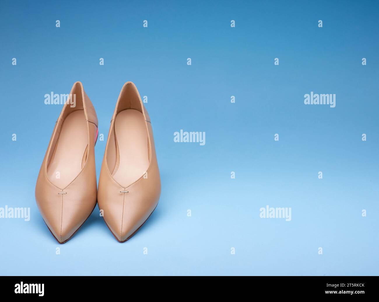 Elegant pointed-toe beige ballet flats at inclination on a gradient ...
