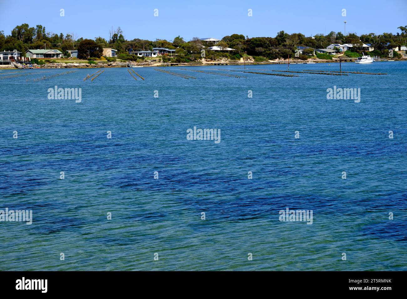 Oyster beds in a bay at Coffin Bay in the Eyre Peninsula region of South Australia Stock Photo