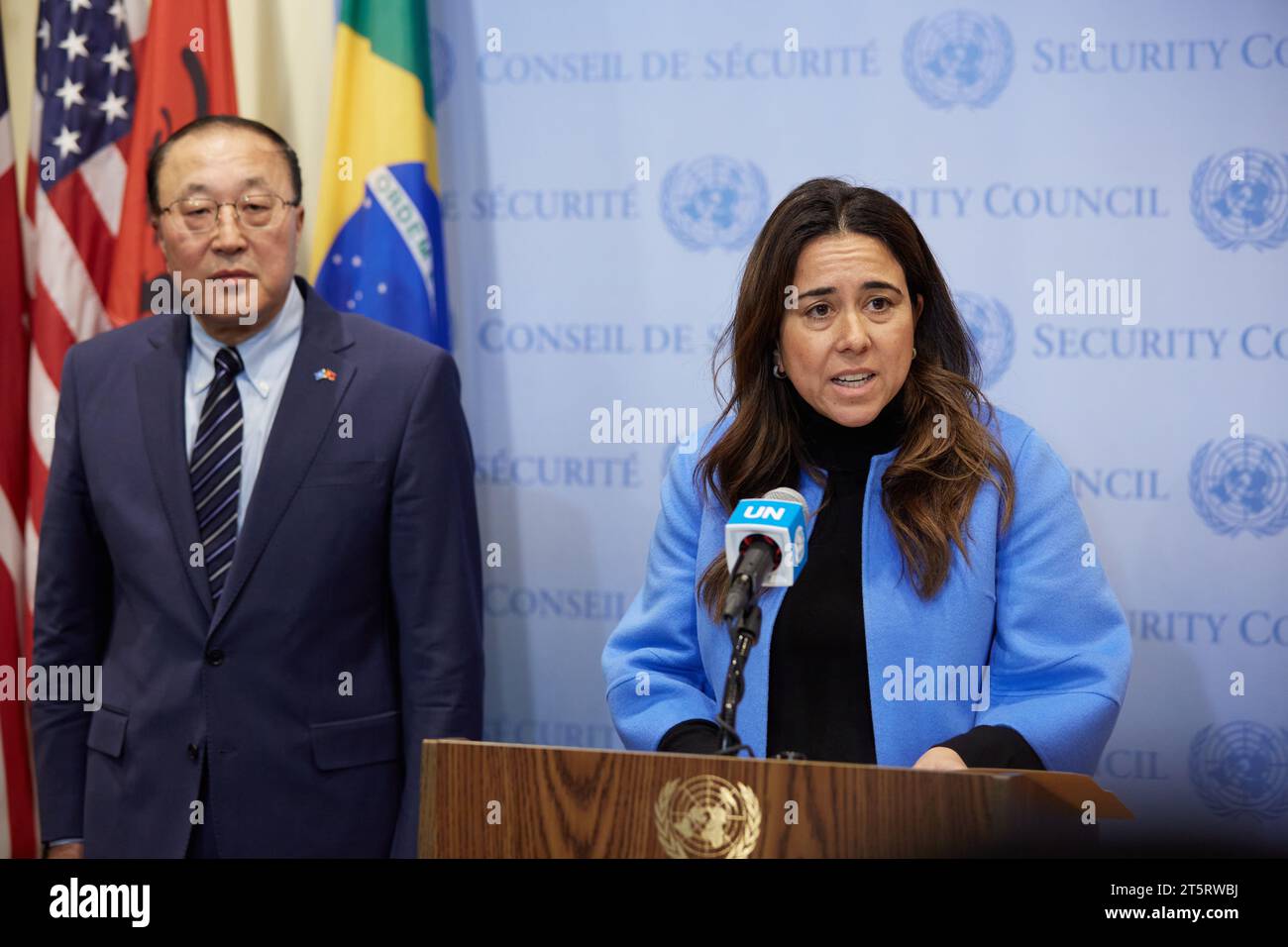 New York, New York, USA. 6th Nov, 2023. Ambassador Lana Zaki Nusseibeh