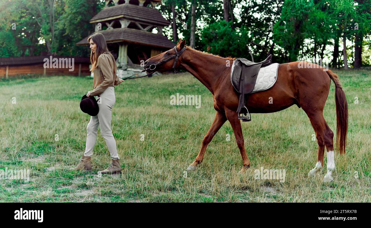 Young jockey-girl leading the brown saddled horse by the reins on a grass field. Horse school, equestrian center, riding lessons. Equestrian taking ho Stock Photo