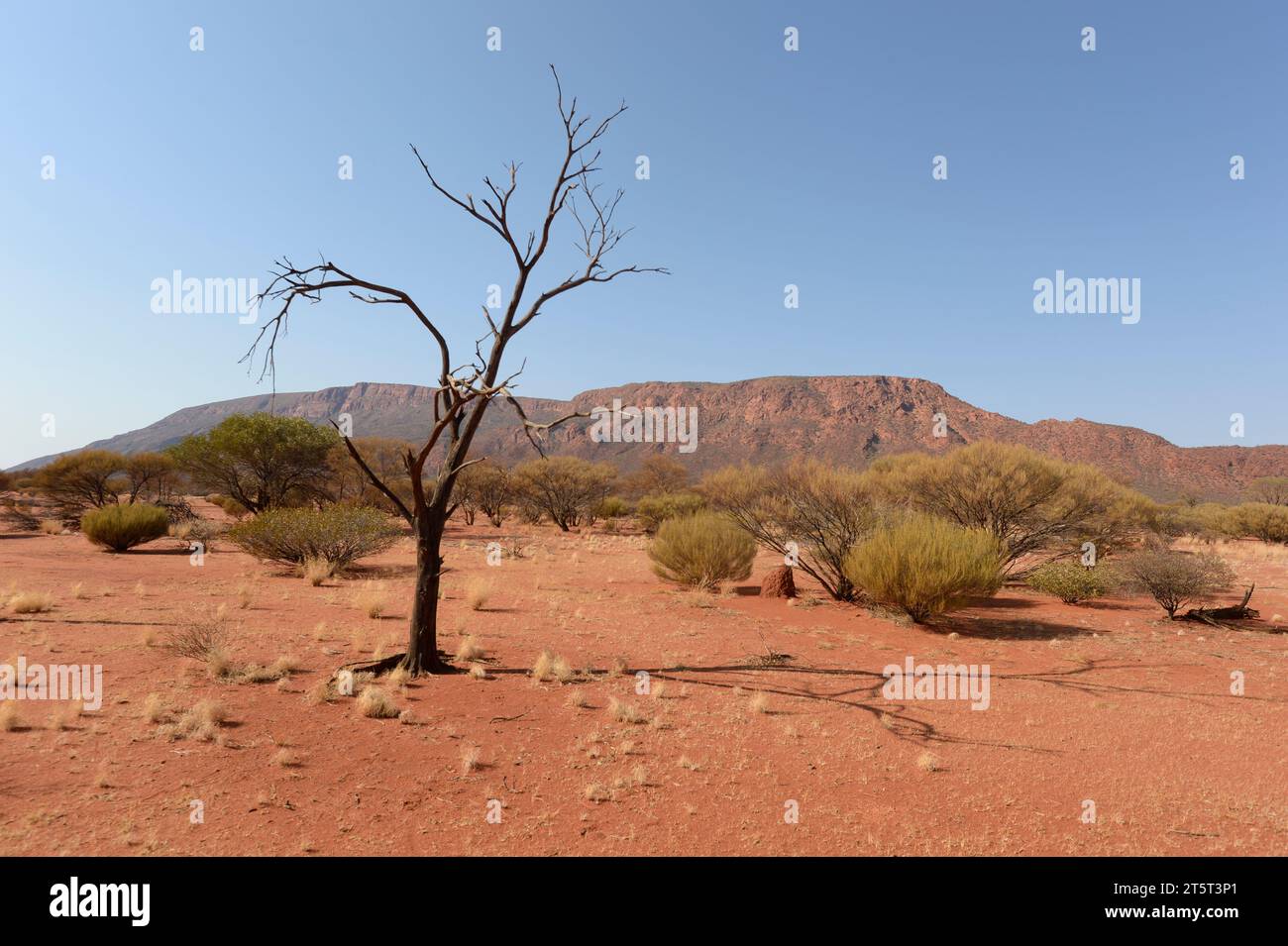 View of Mt Augustus, a popular destination, Western Australia, Australia Stock Photo