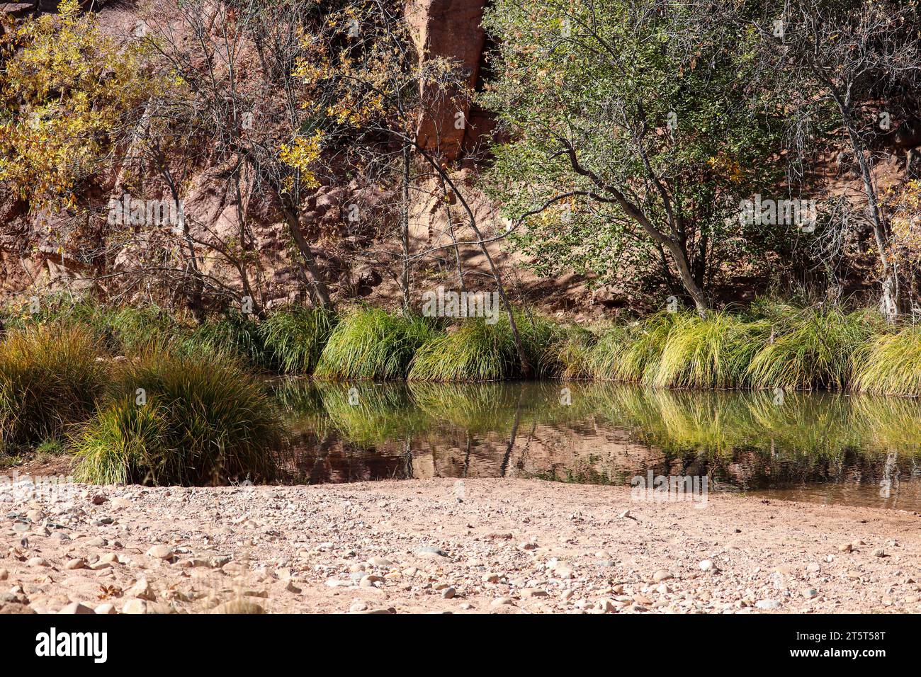 Exploring arizona hi-res stock photography and images - Alamy