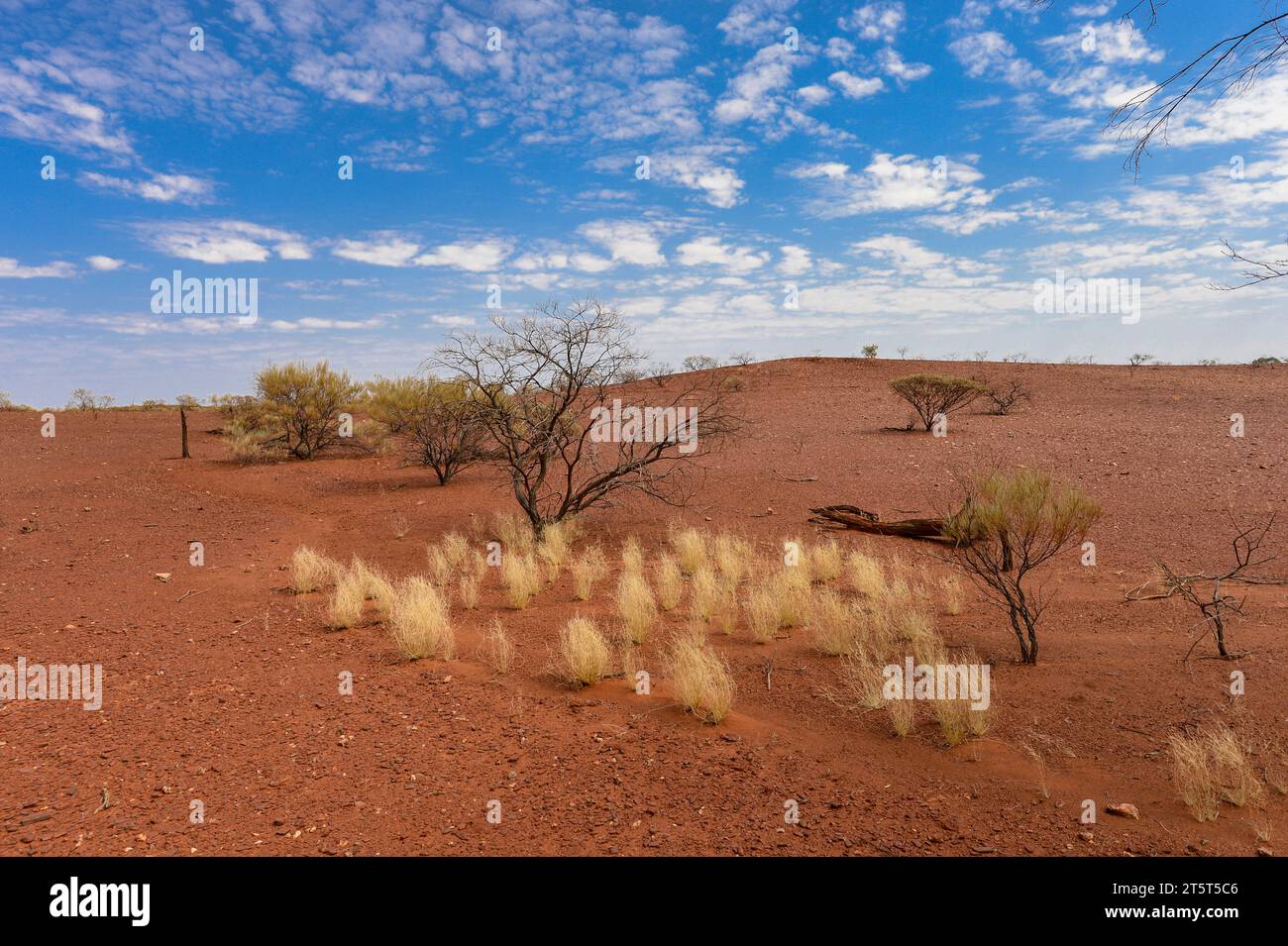 Tuff Of Grass Hi-res Stock Photography And Images - Alamy