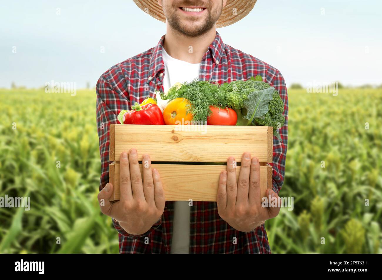 Harvesting season. Farmer holding wooden crate with crop in field ...