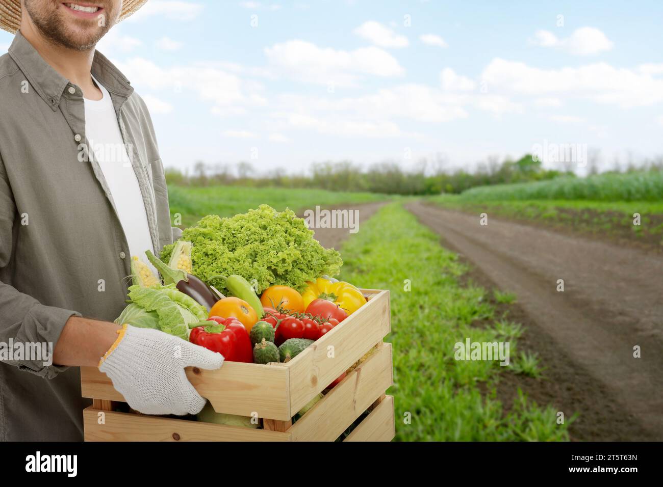 Harvesting season. Farmer holding wooden crate with crop in field ...