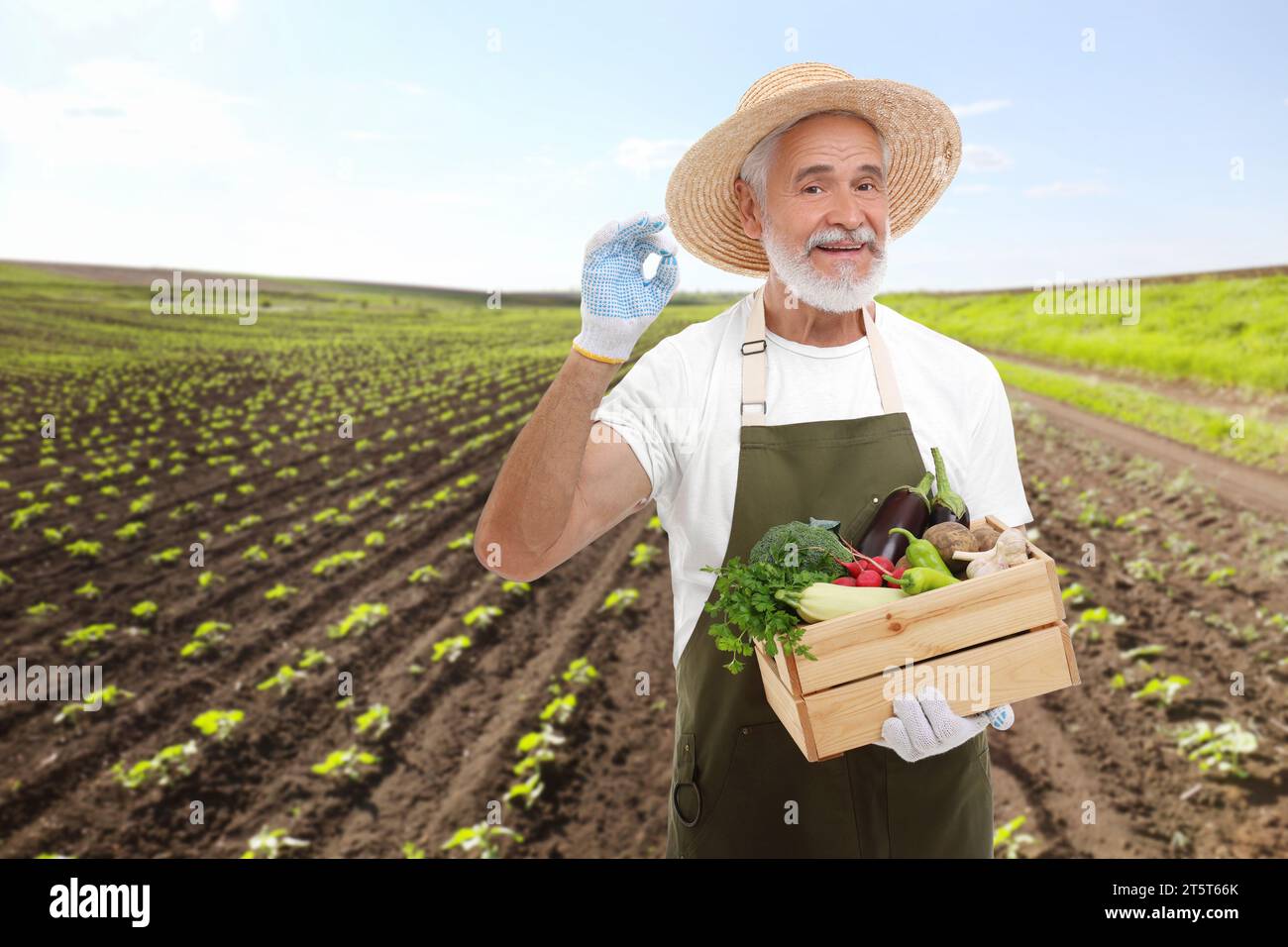 Harvesting season. Farmer holding wooden crate with crop and showing ok ...