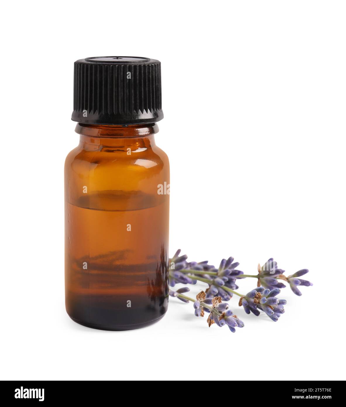 Bottle of essential oil and lavender flowers on white background Stock ...
